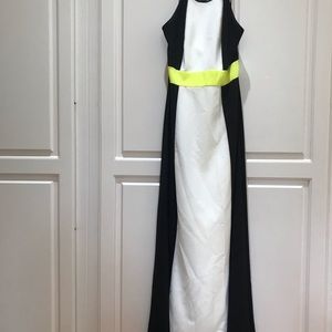 Vince Camuto Long Dress